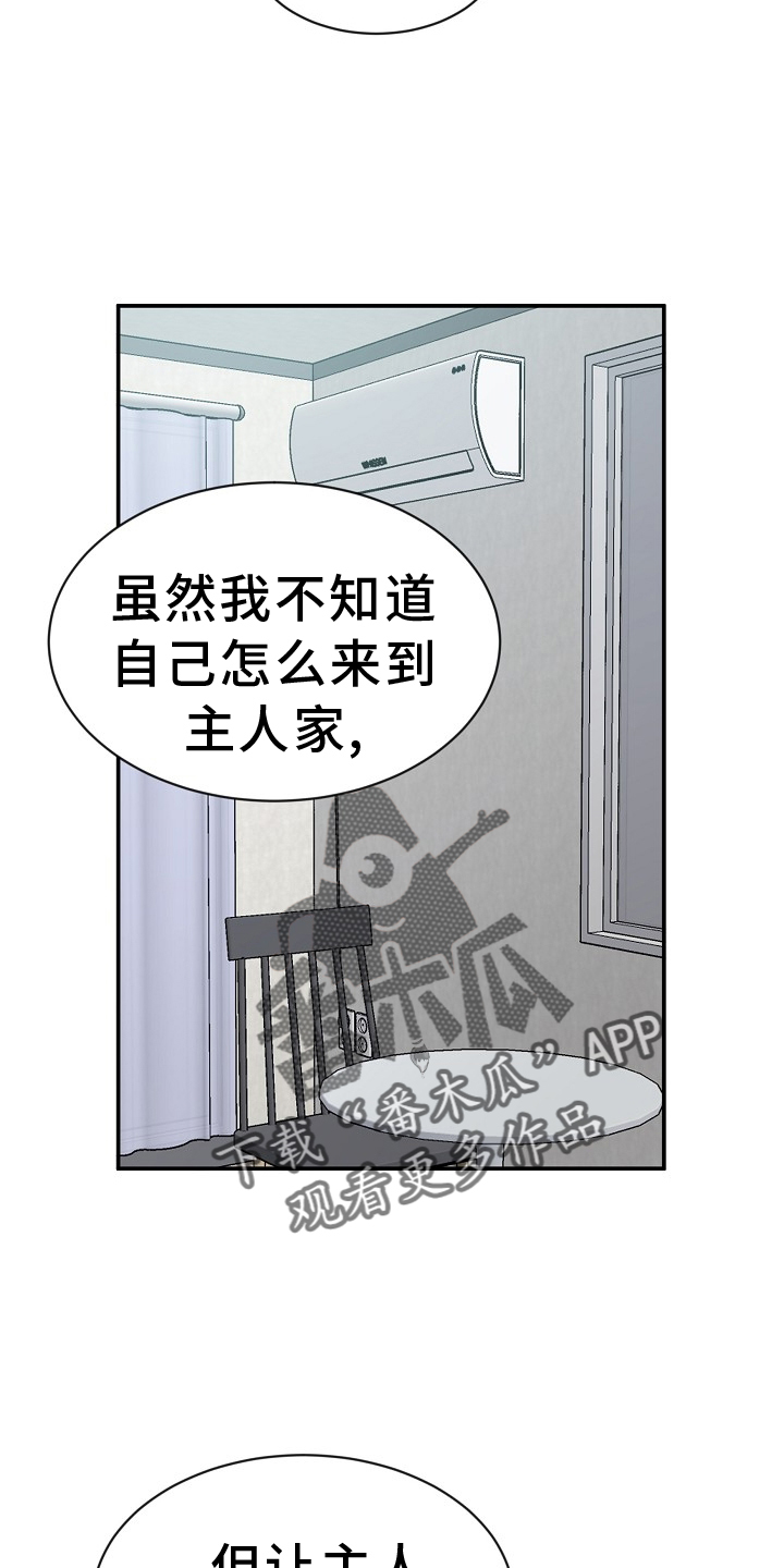 第38章：特别25