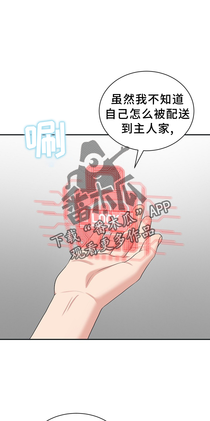 第37章：命令25