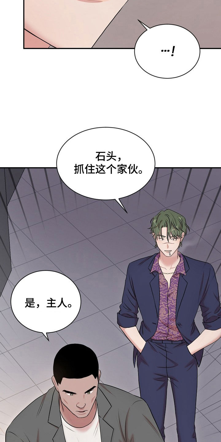 第25章：实力17