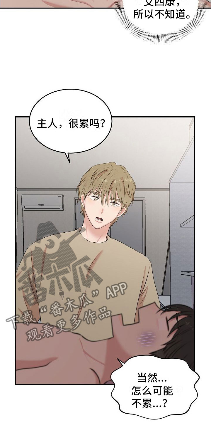 第13章：身体鲜明14