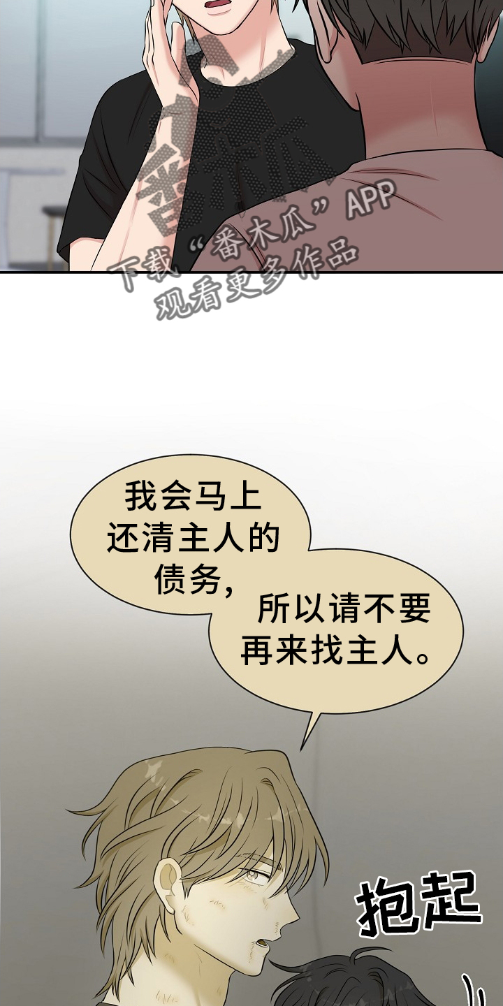 第38章：特别7
