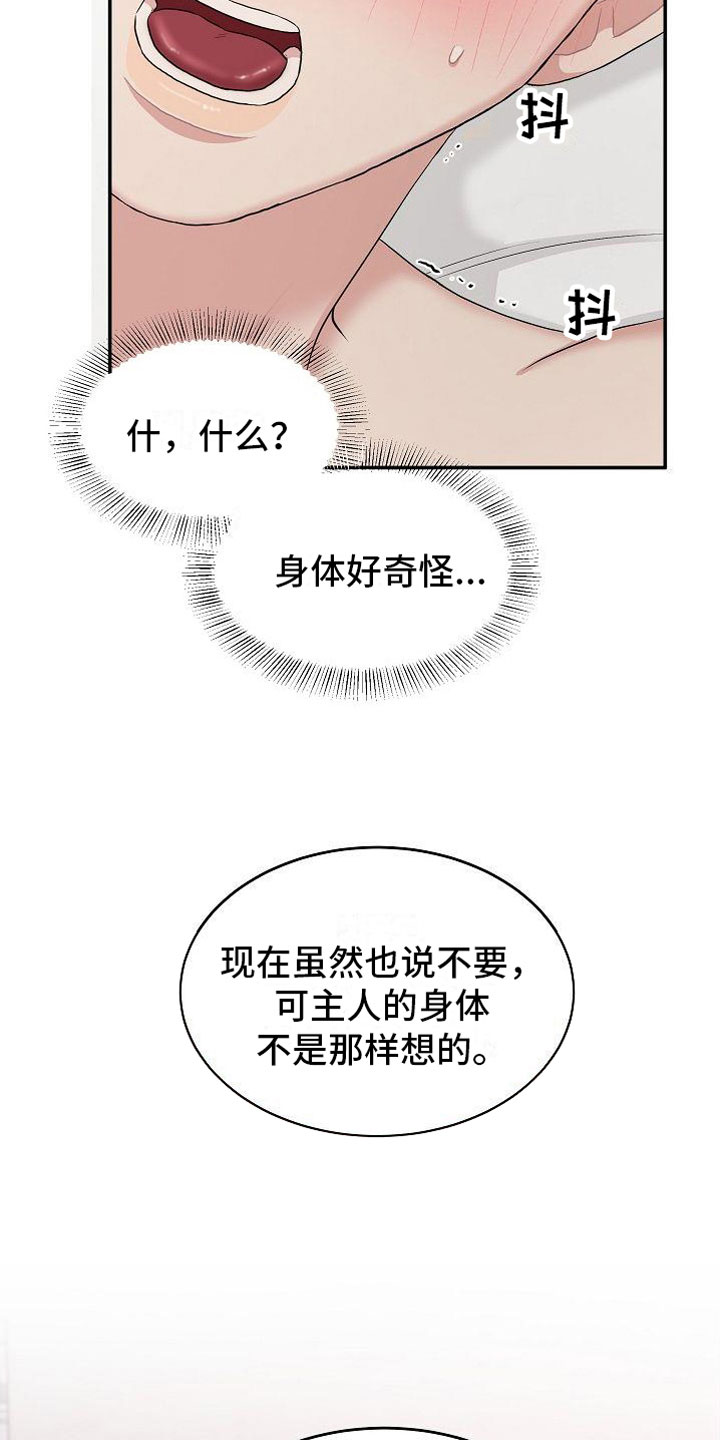第13章：身体鲜明27