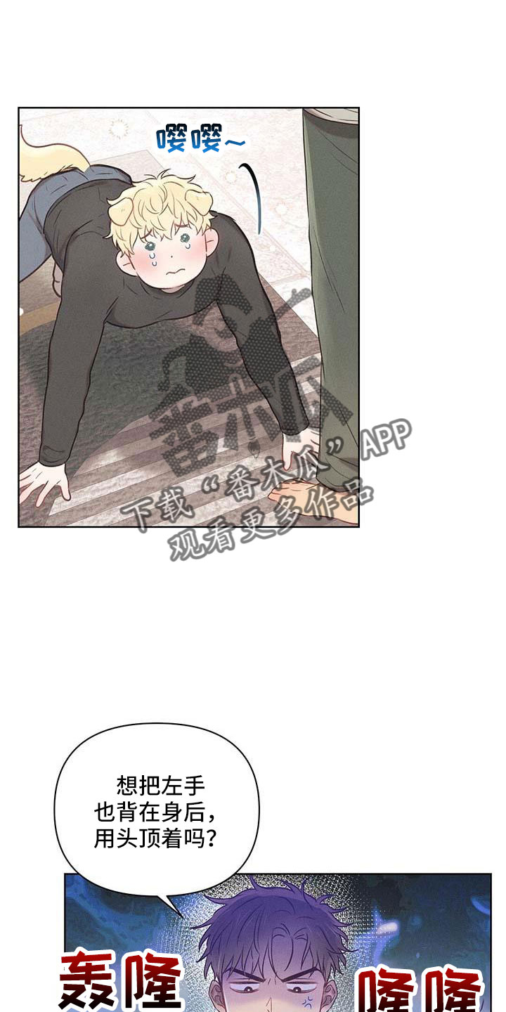 第34章：藏身之处12