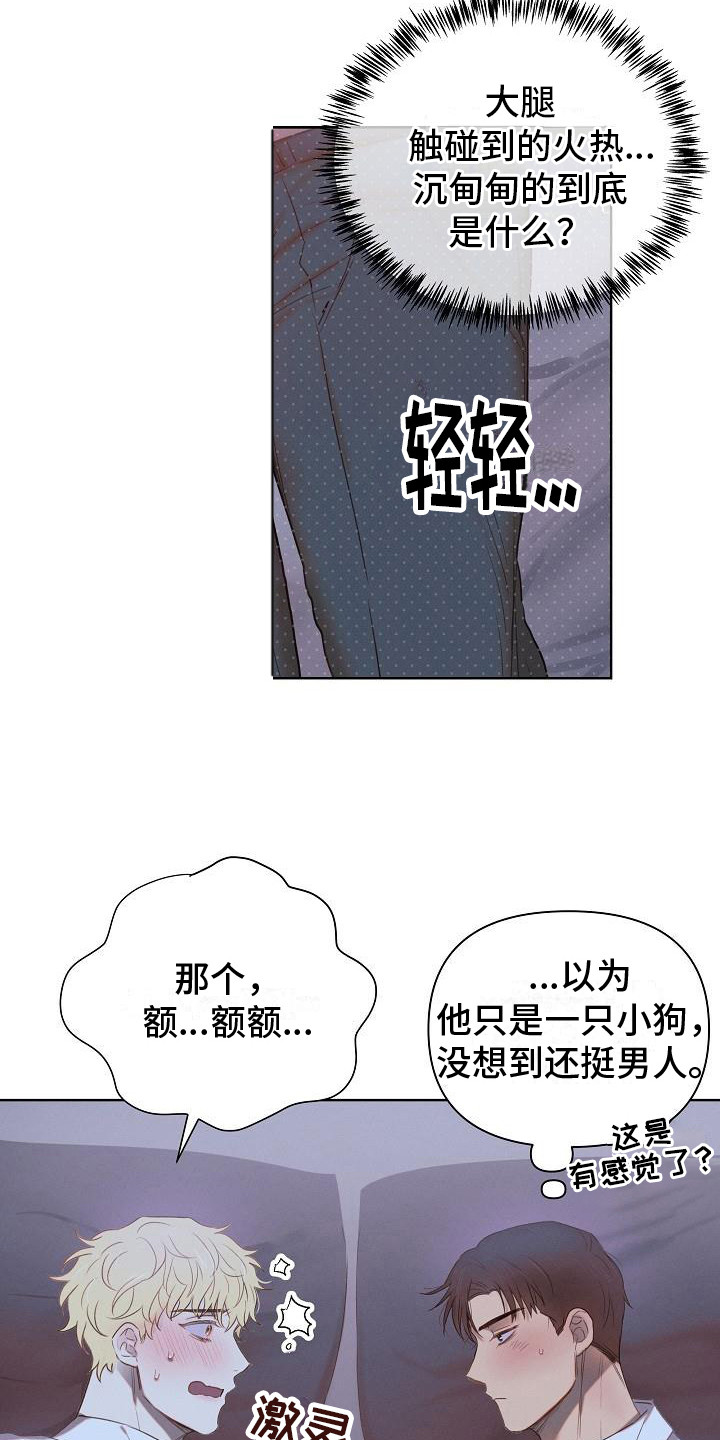 第4章：调侃14