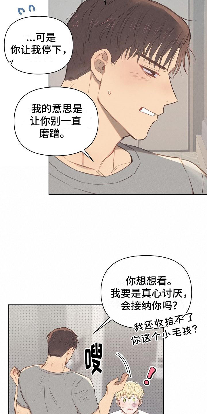 第8章：解释15