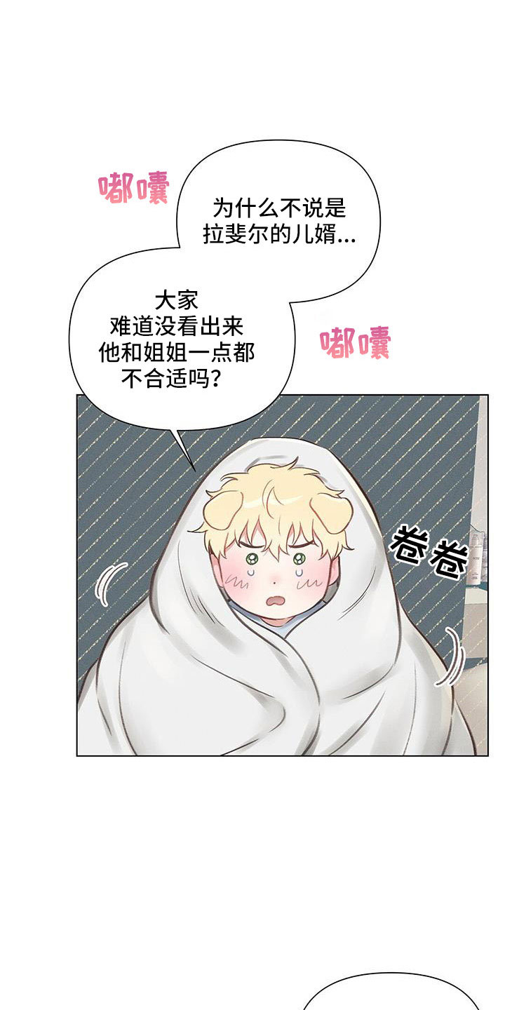第46章：儿婿21