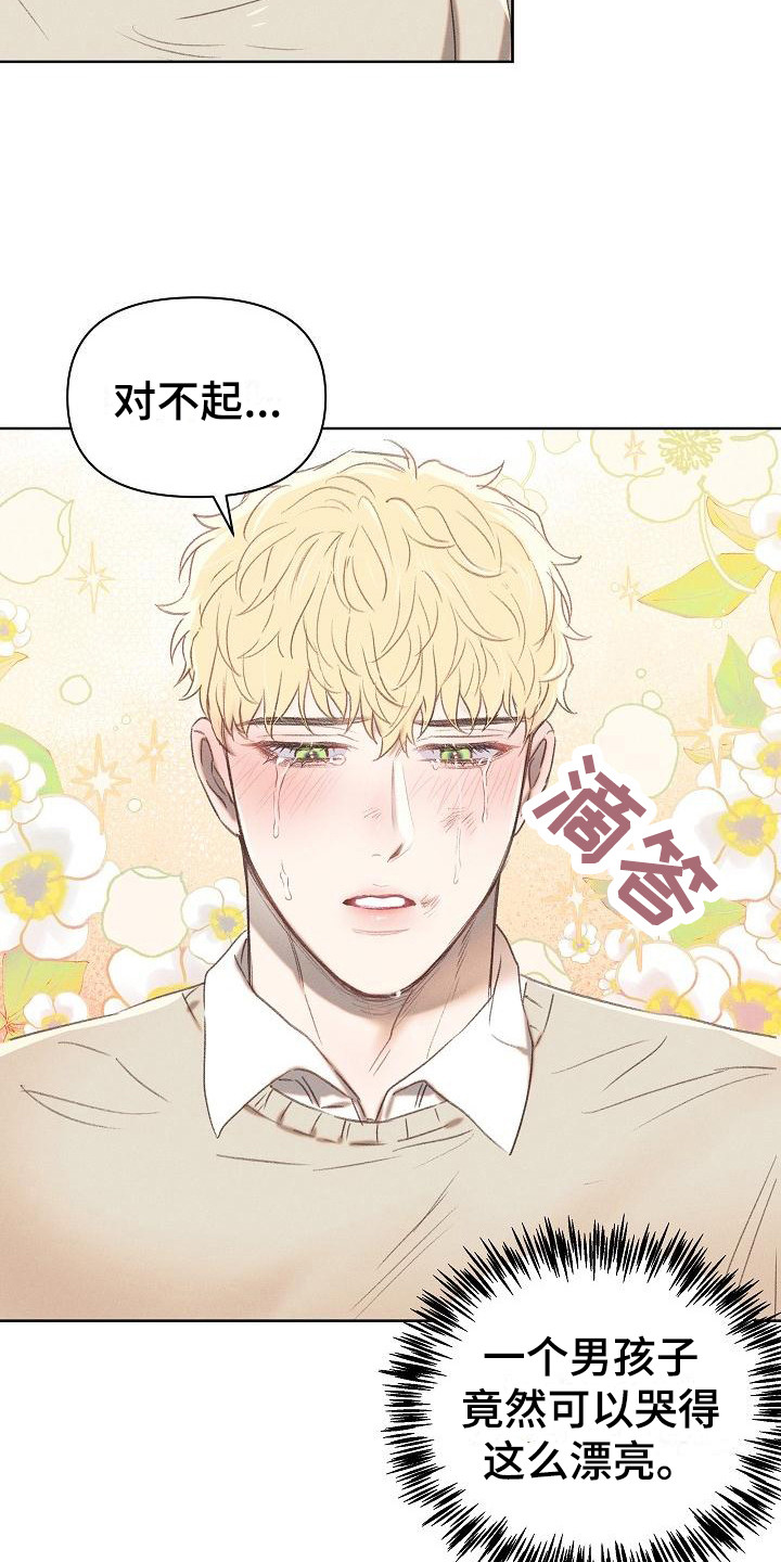 第12章：真心的15