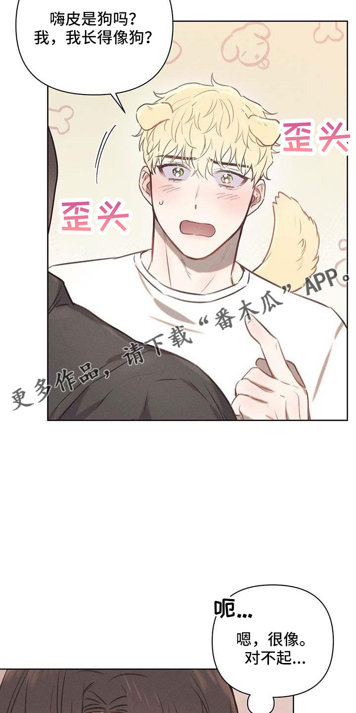 第37章：长得像嗨皮25