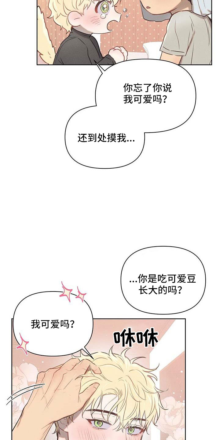 第34章：藏身之处16