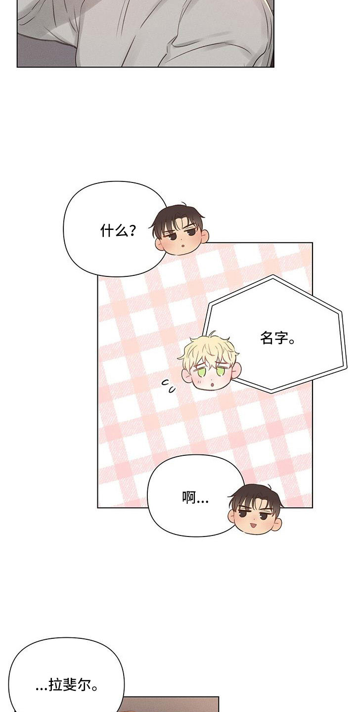 第45章：劝架11