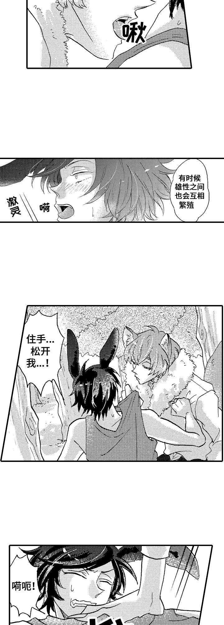 第17章：回报10