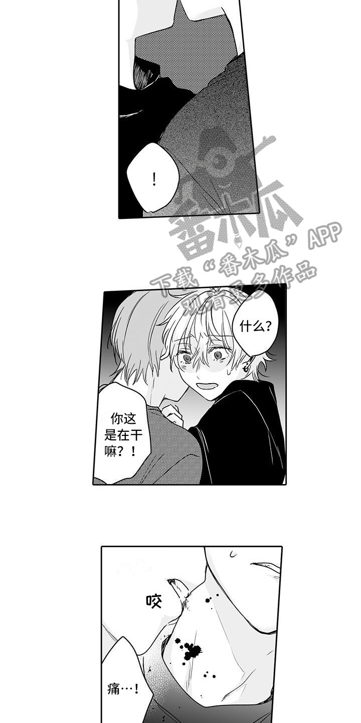 第15章：嫉妒1