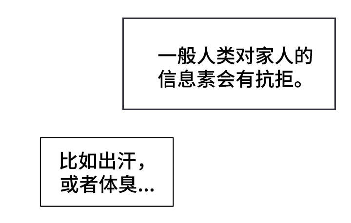 第21章：信息素4