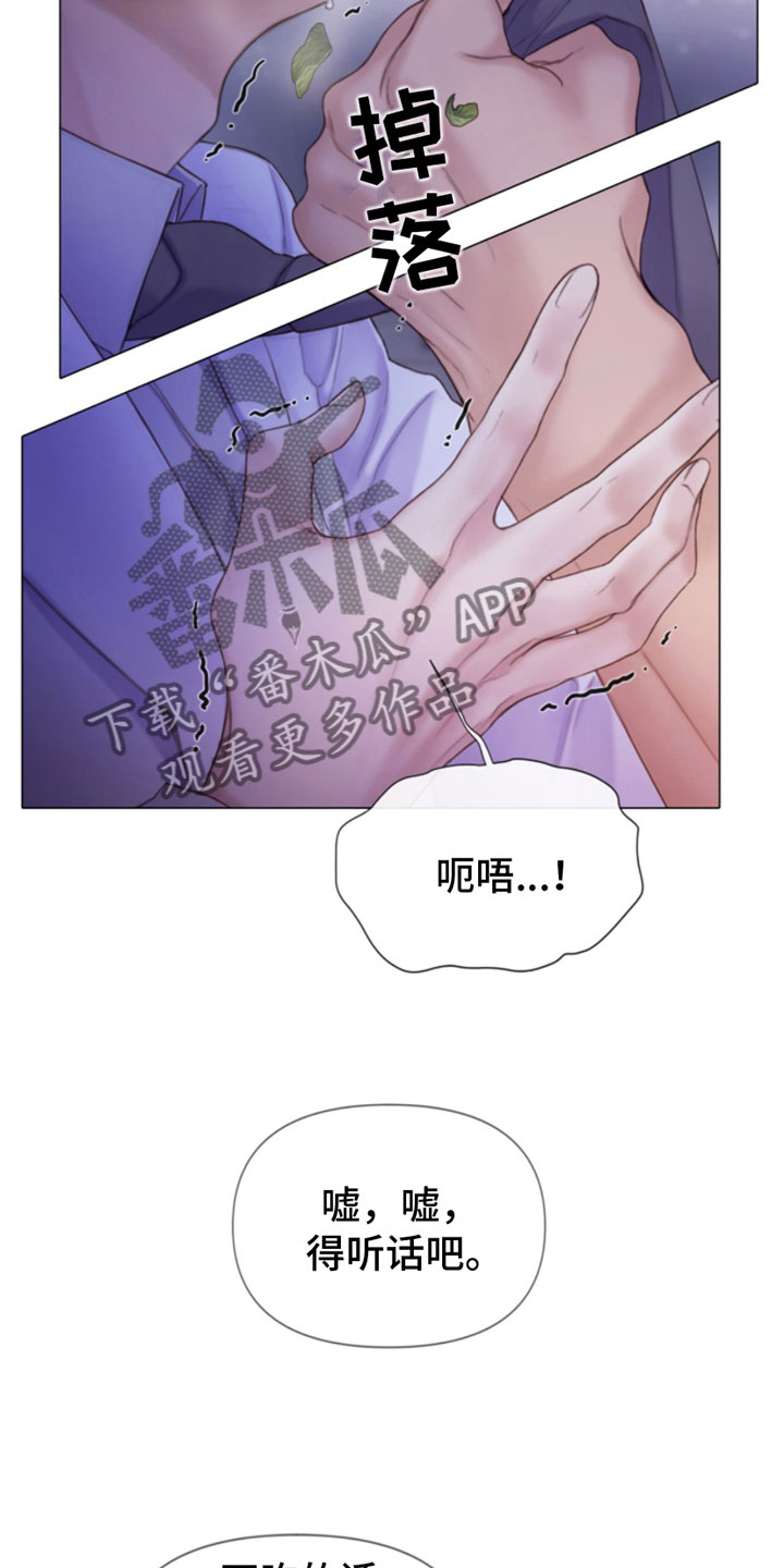 第10章：听话5