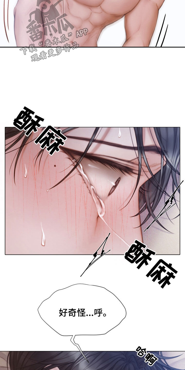 第47章：替代17