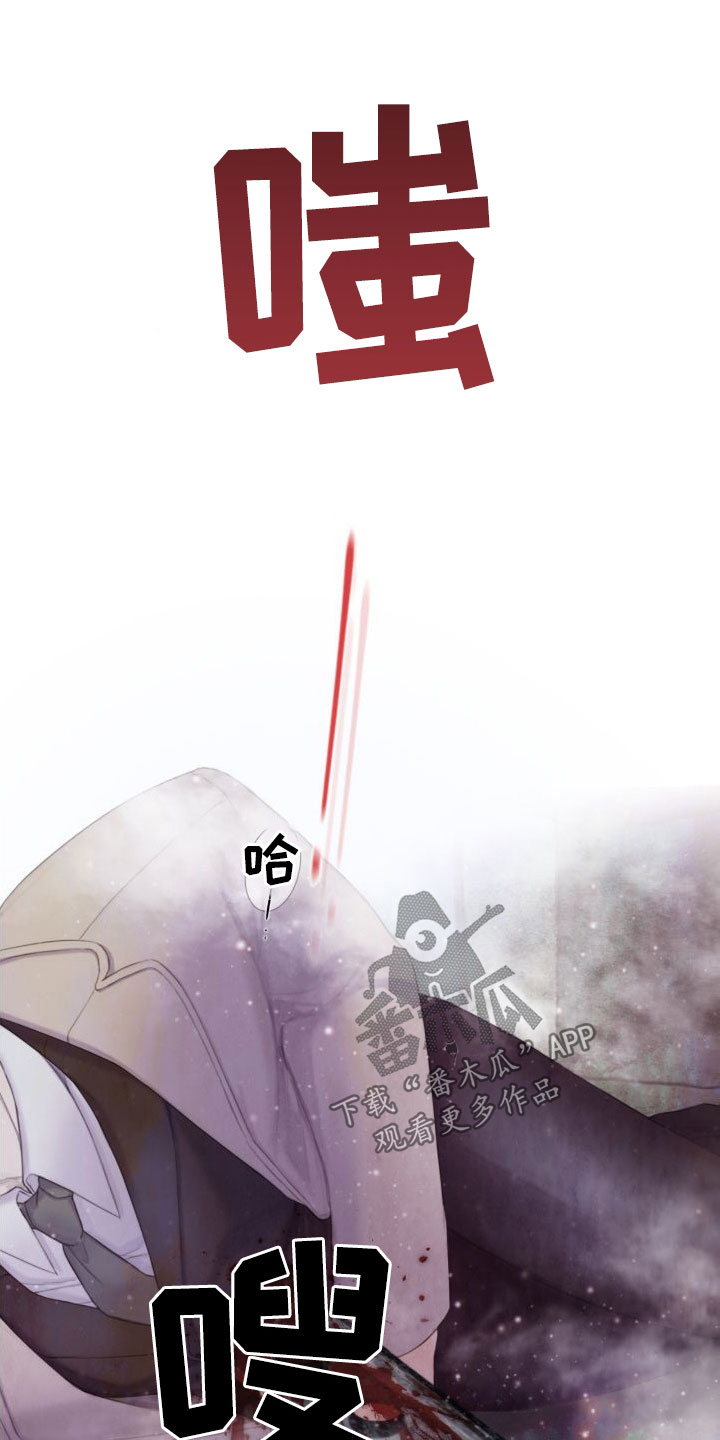 第27章：幻觉4