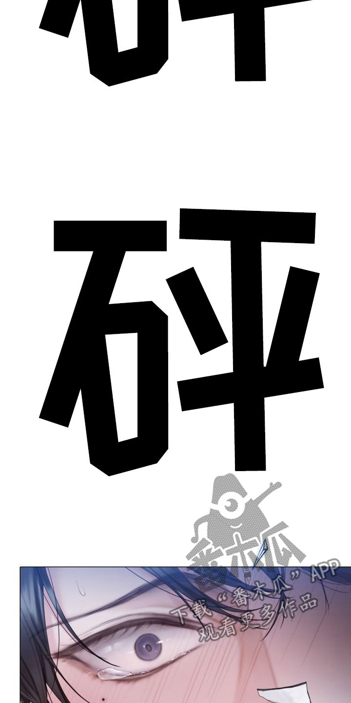 第29章：反抗11