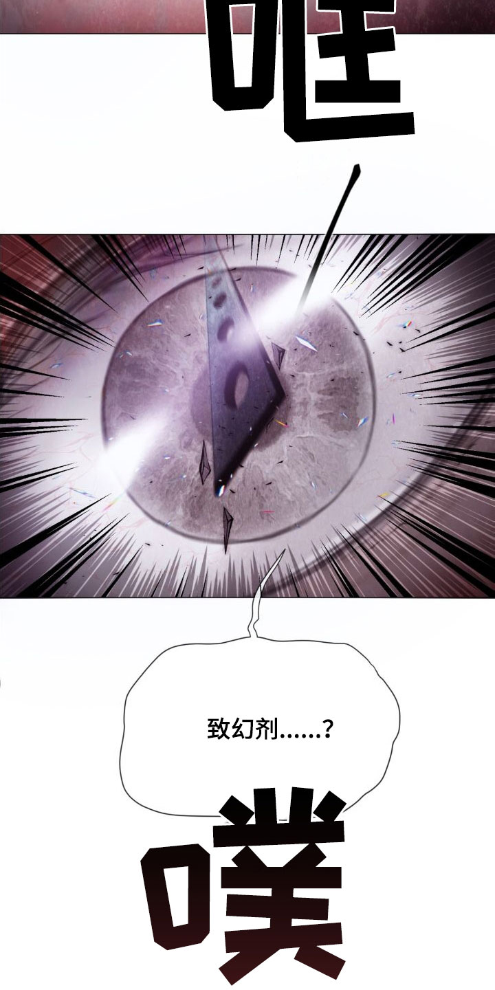 第27章：幻觉3