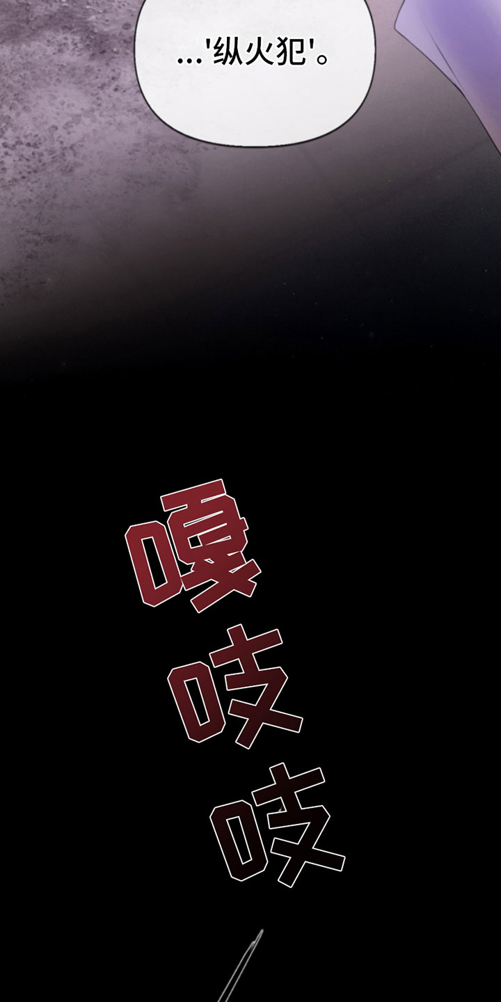 第3章：纵火犯19