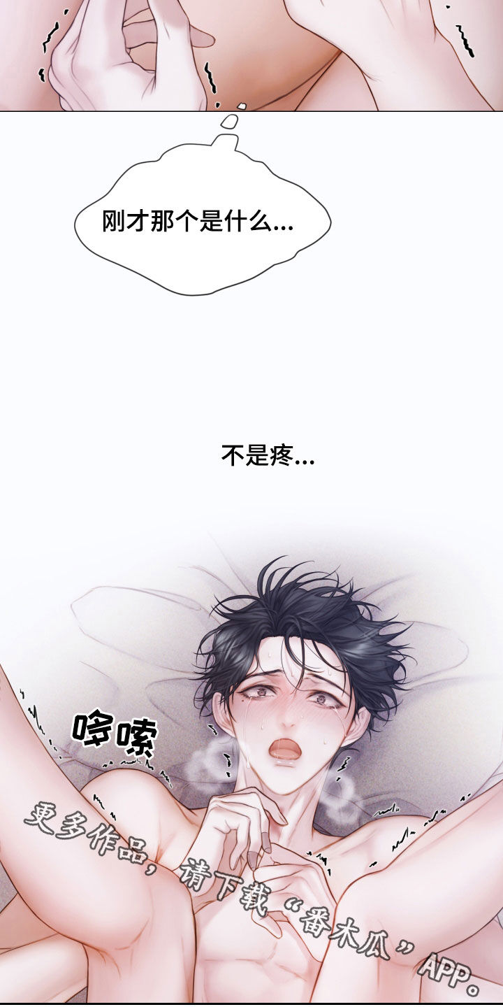 第46章：另一种感觉35