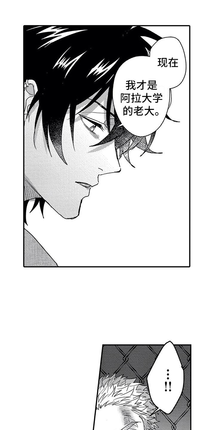 第21章：帮手18