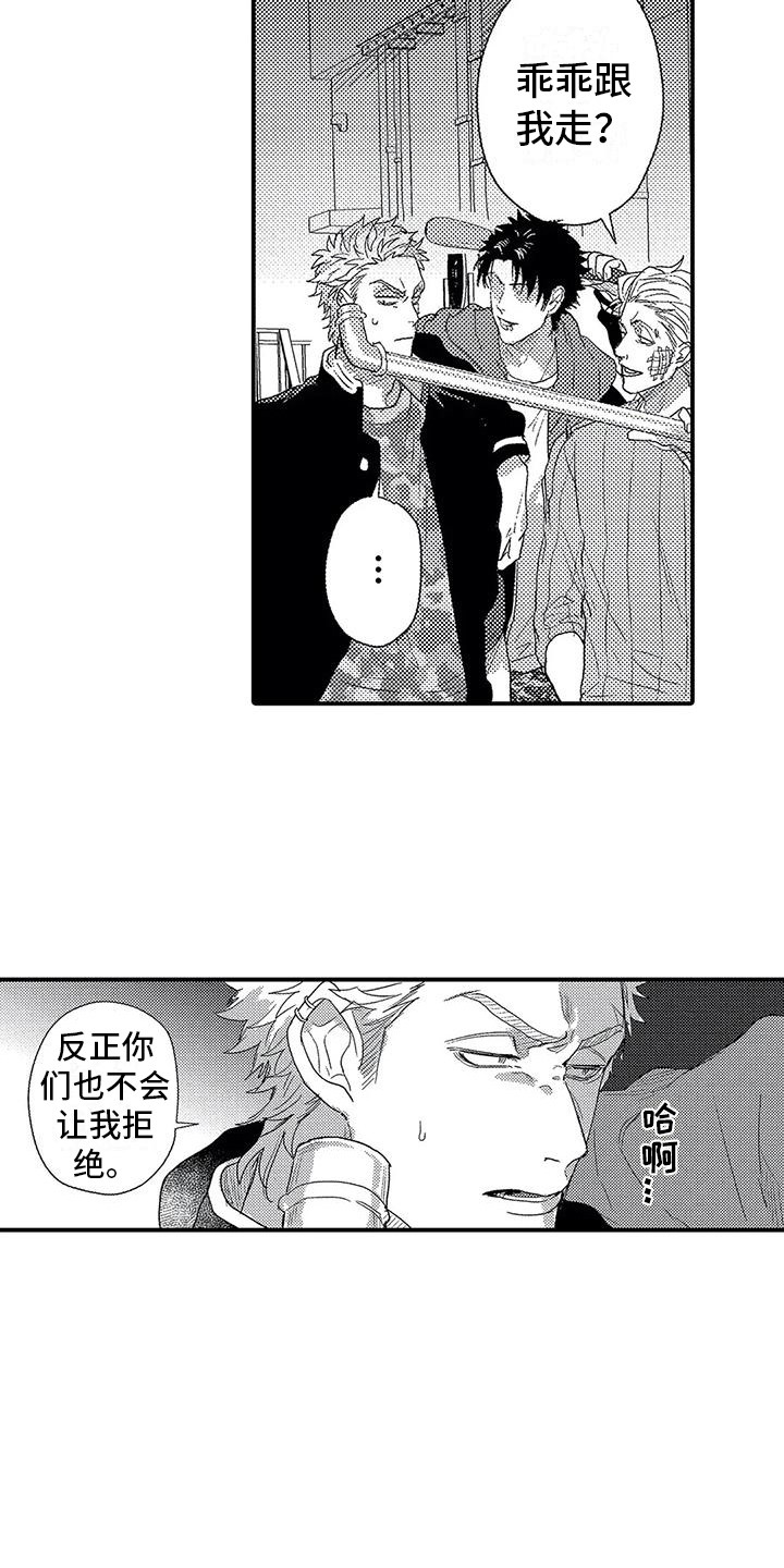 第19章：偶遇3