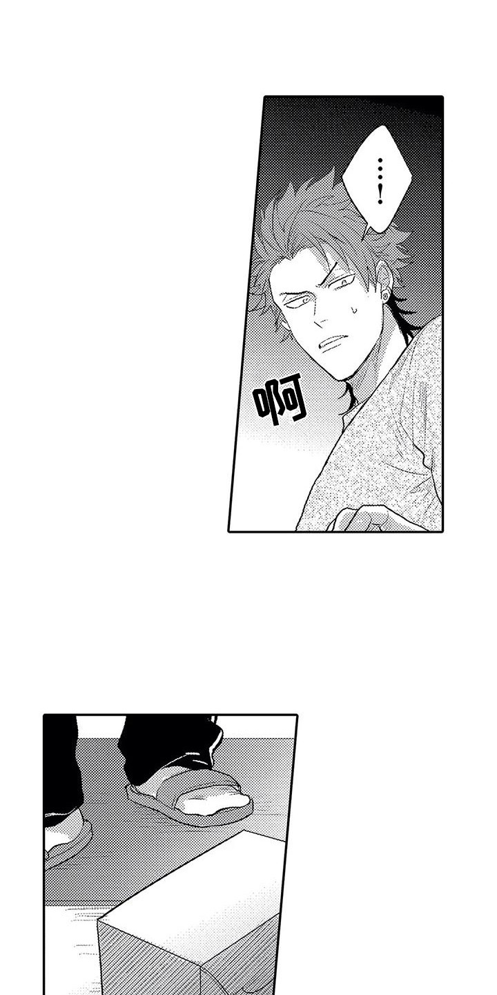 第15章：心意12