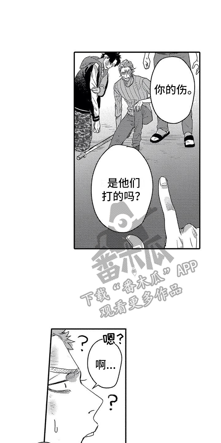 第21章：帮手13