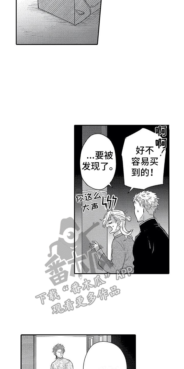 第15章：心意13