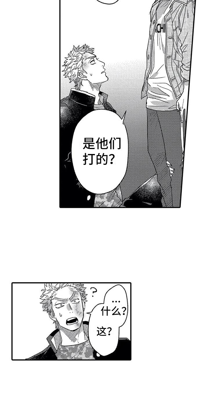 第21章：帮手12