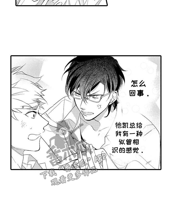 第11章：图书馆：视频11