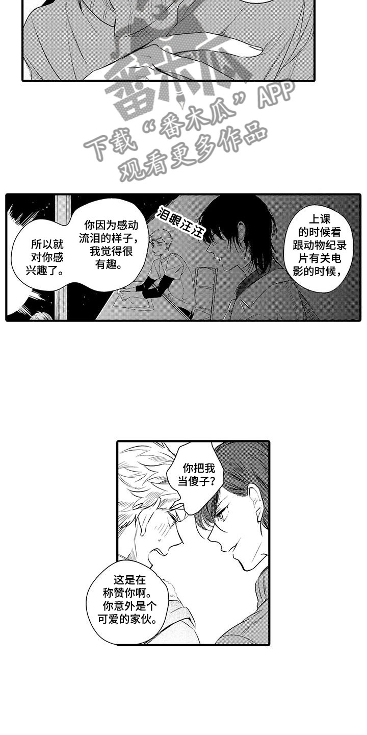 第8章：小电影：变身8
