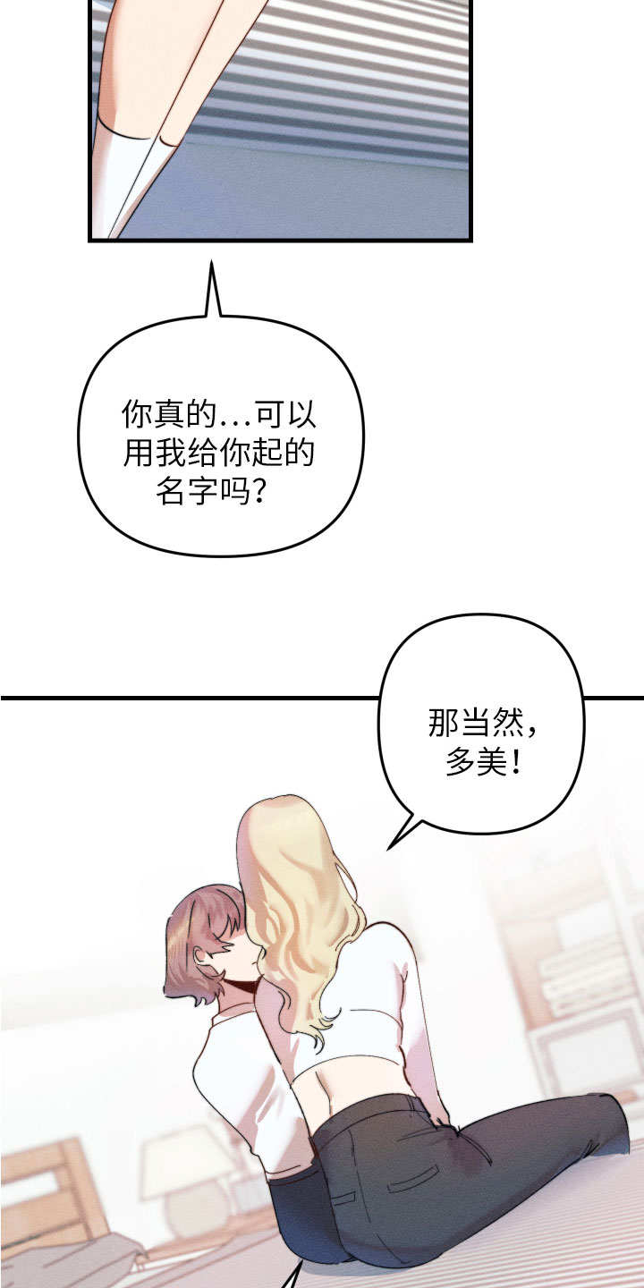 第5章：变得奇怪7
