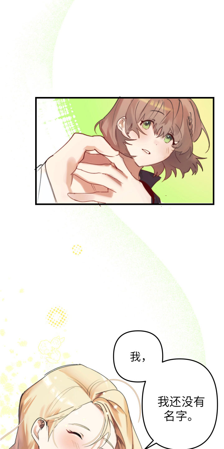 第4章：帮她起名13