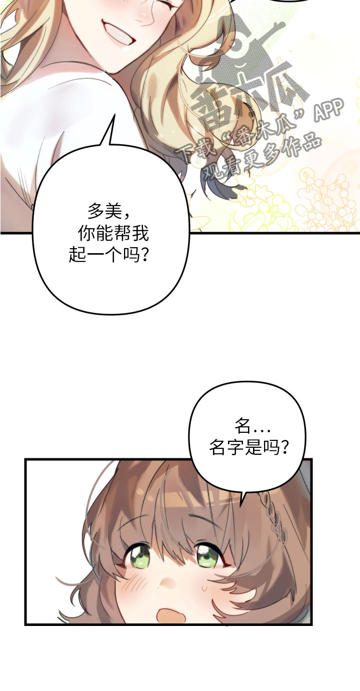 第4章：帮她起名14