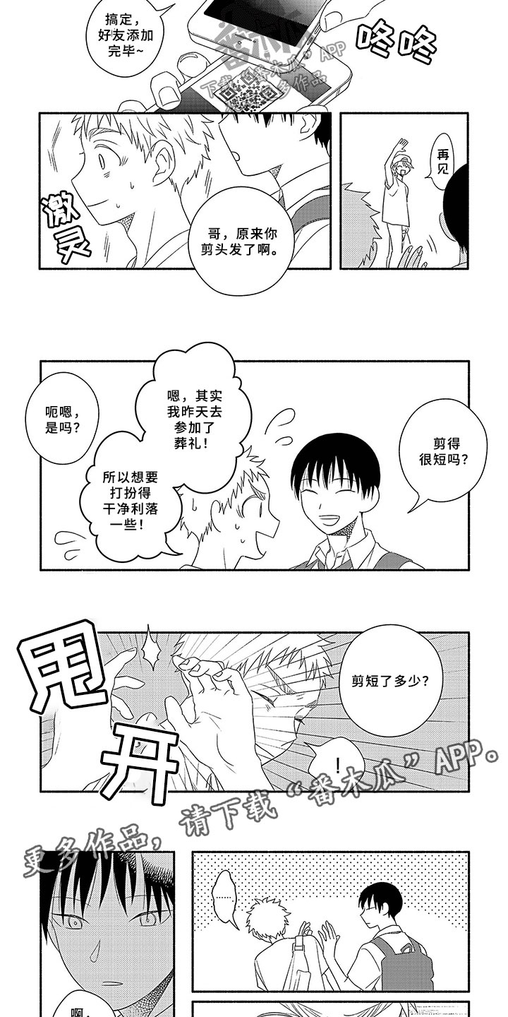 第15章：头发6