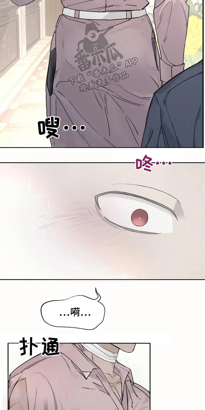 第26章：执着2