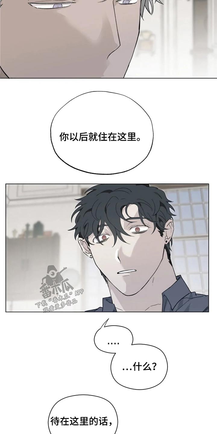 第39章：那是什么6