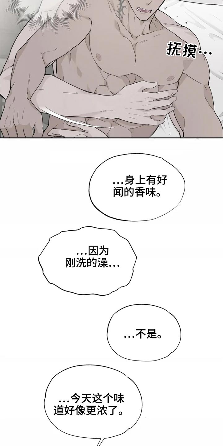 第29章：约束1