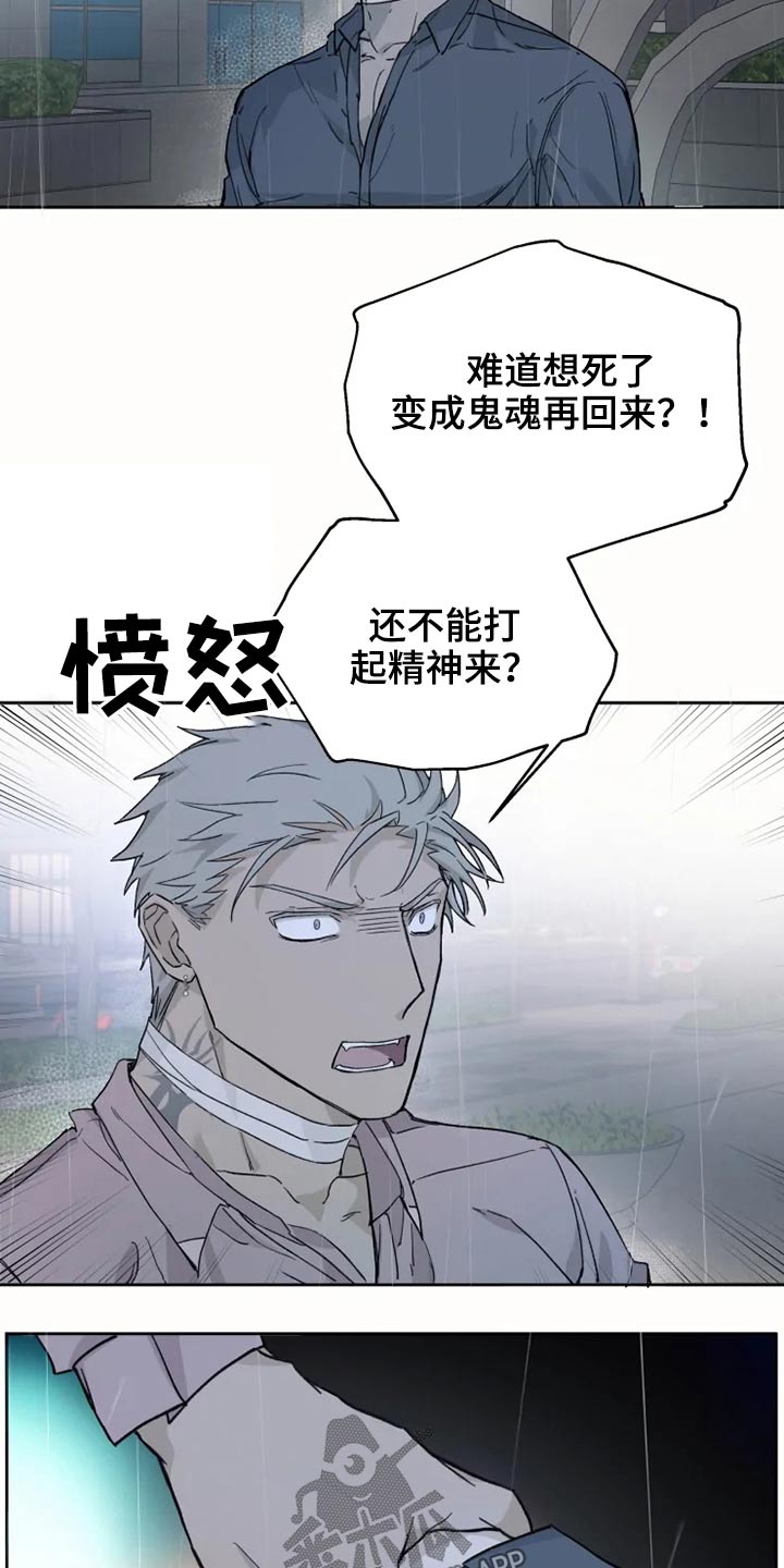 第26章：执着17