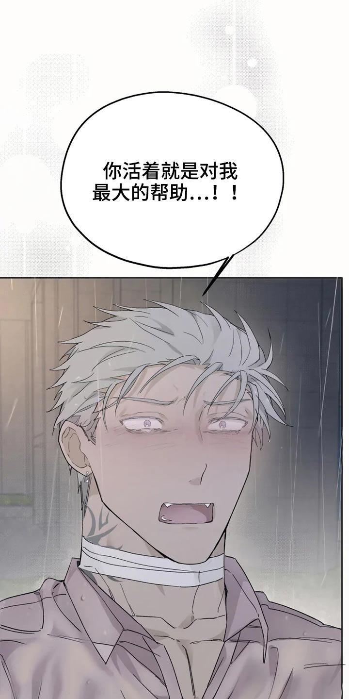 第27章：激动17