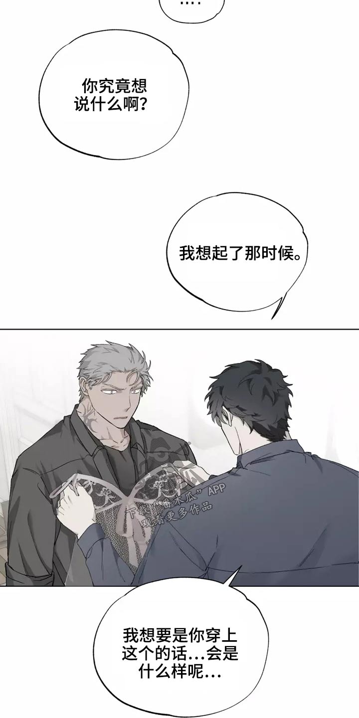 第40章：打开看看21
