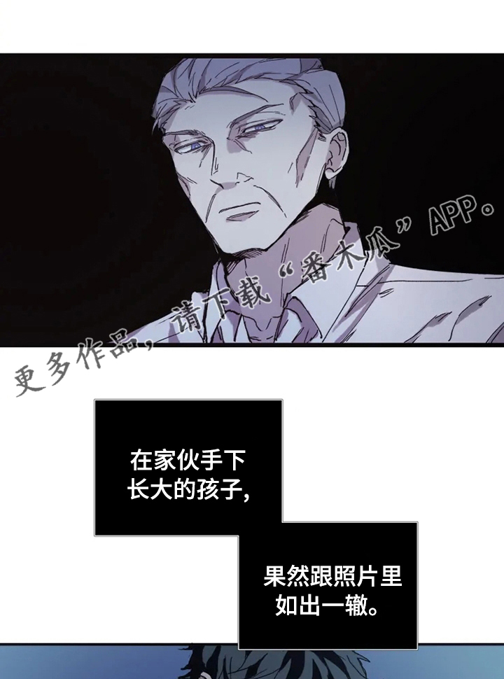 第17章：做点别的0