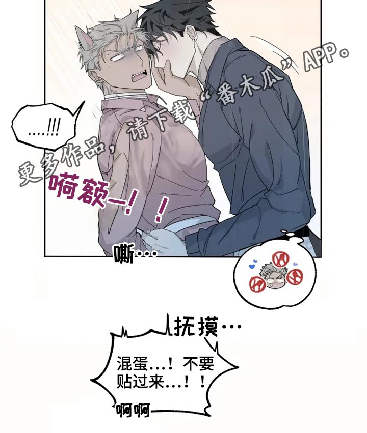 第27章：激动23