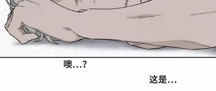 第44章：闯进12