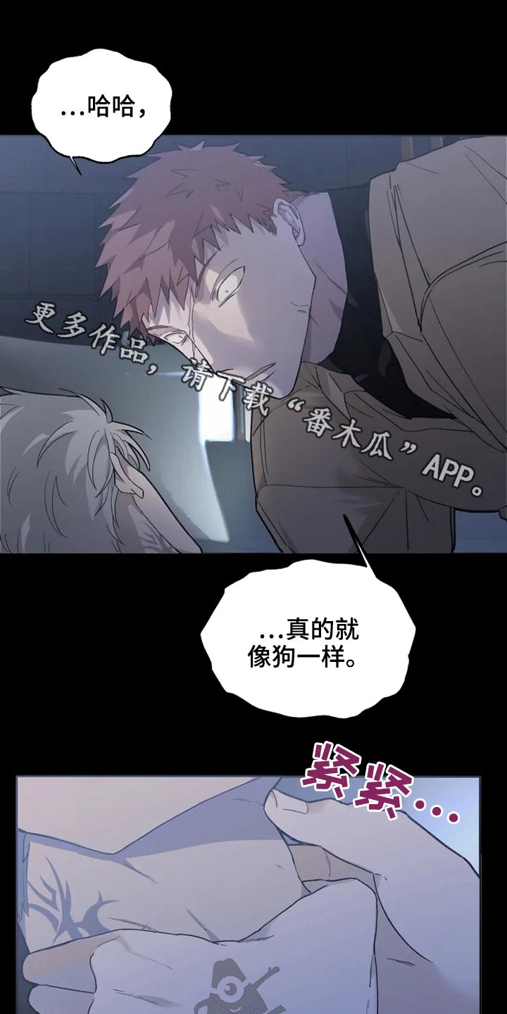 第37章：清醒0