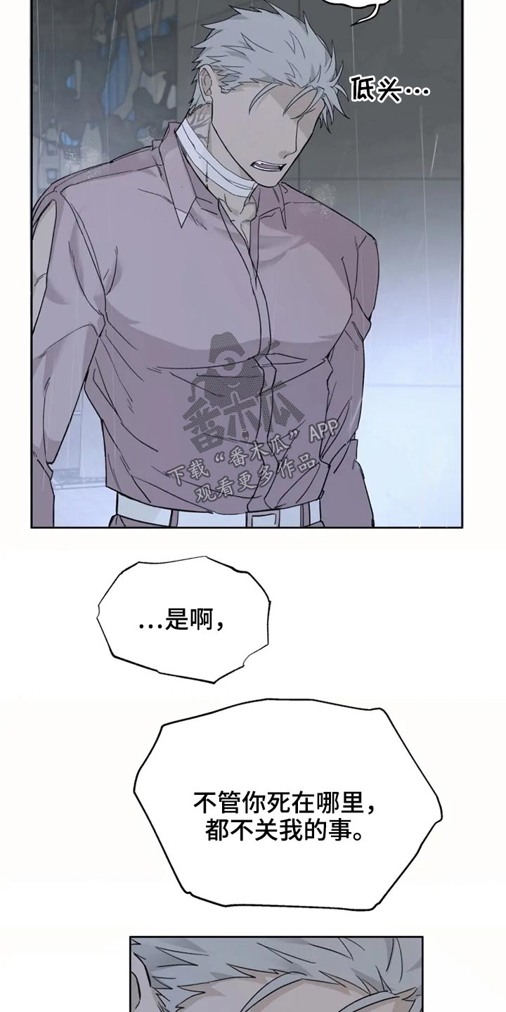 第27章：激动8