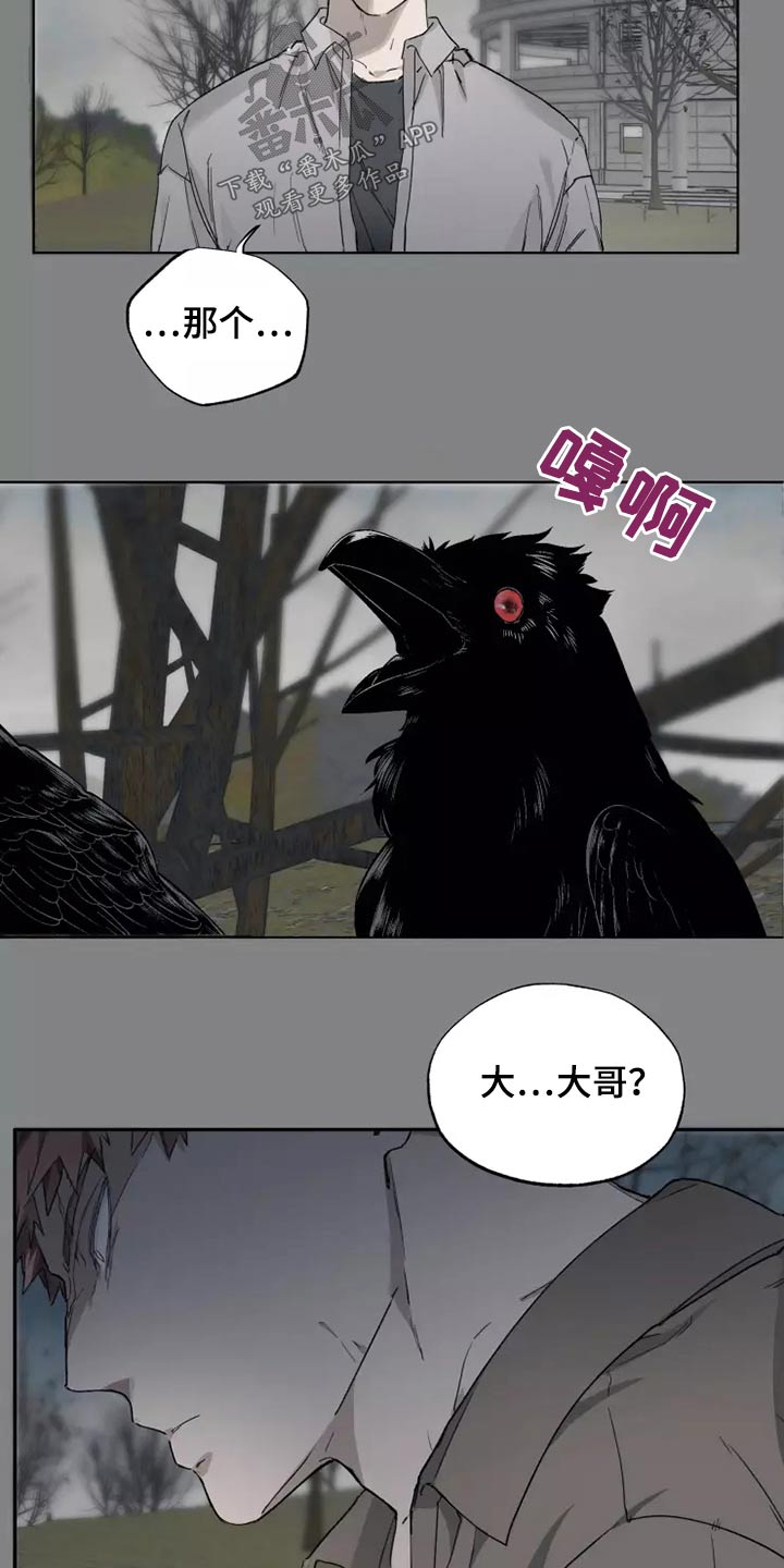 第40章：打开看看15