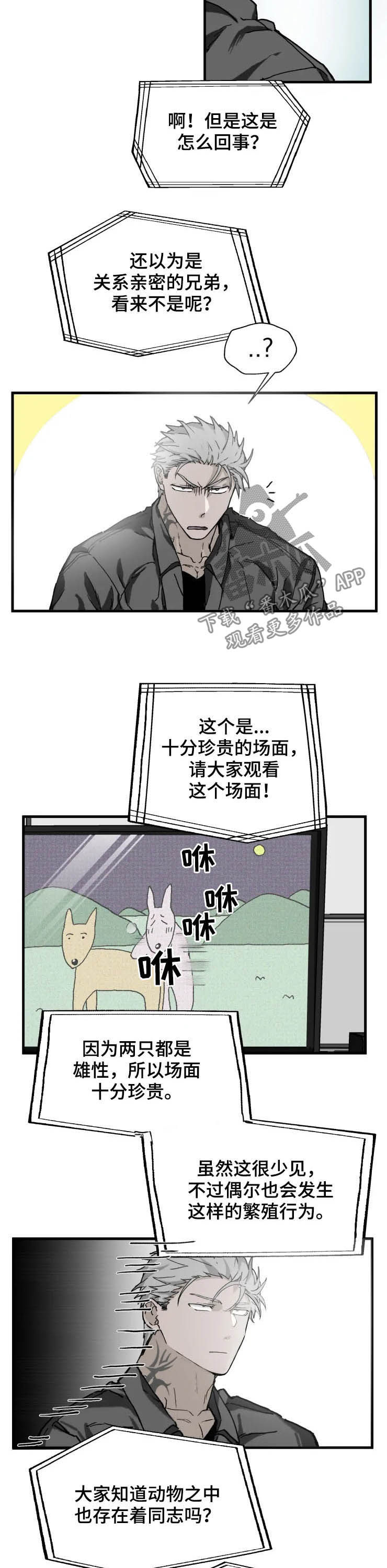 第14章：厌烦2