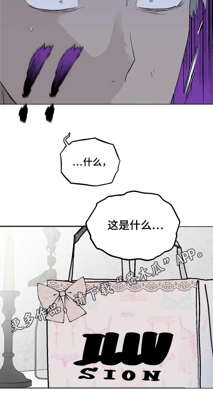 第39章：那是什么19